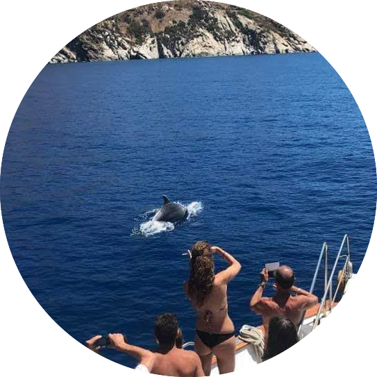gita in barca isola d'elba