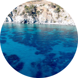 gita in barca isola d'elba