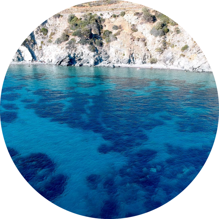 gita in barca isola d'elba